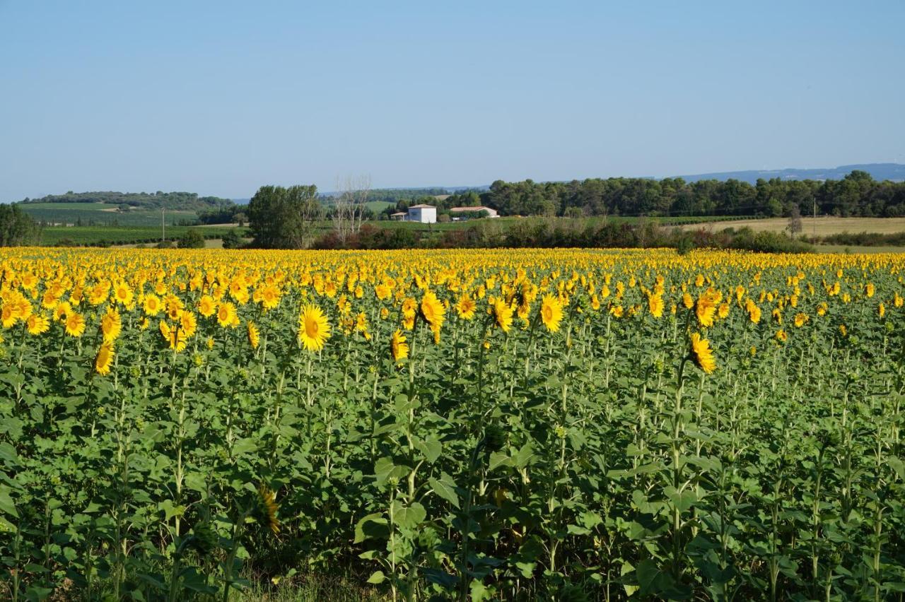 Le Clos Des Troubadours Pennautier Eksteriør billede