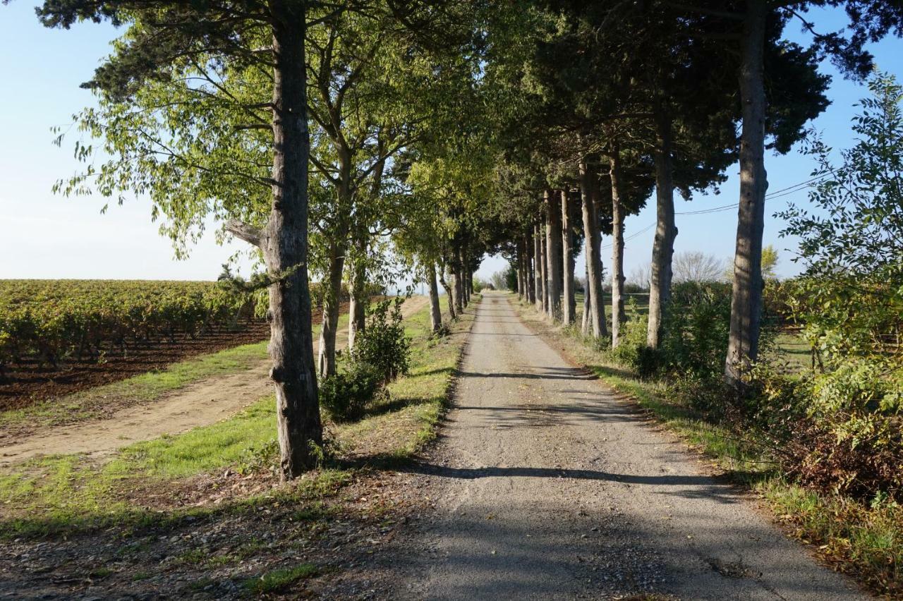 Le Clos Des Troubadours Pennautier Eksteriør billede